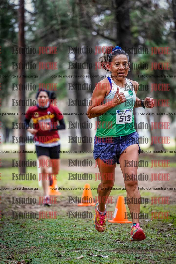 Fotos en el circuito