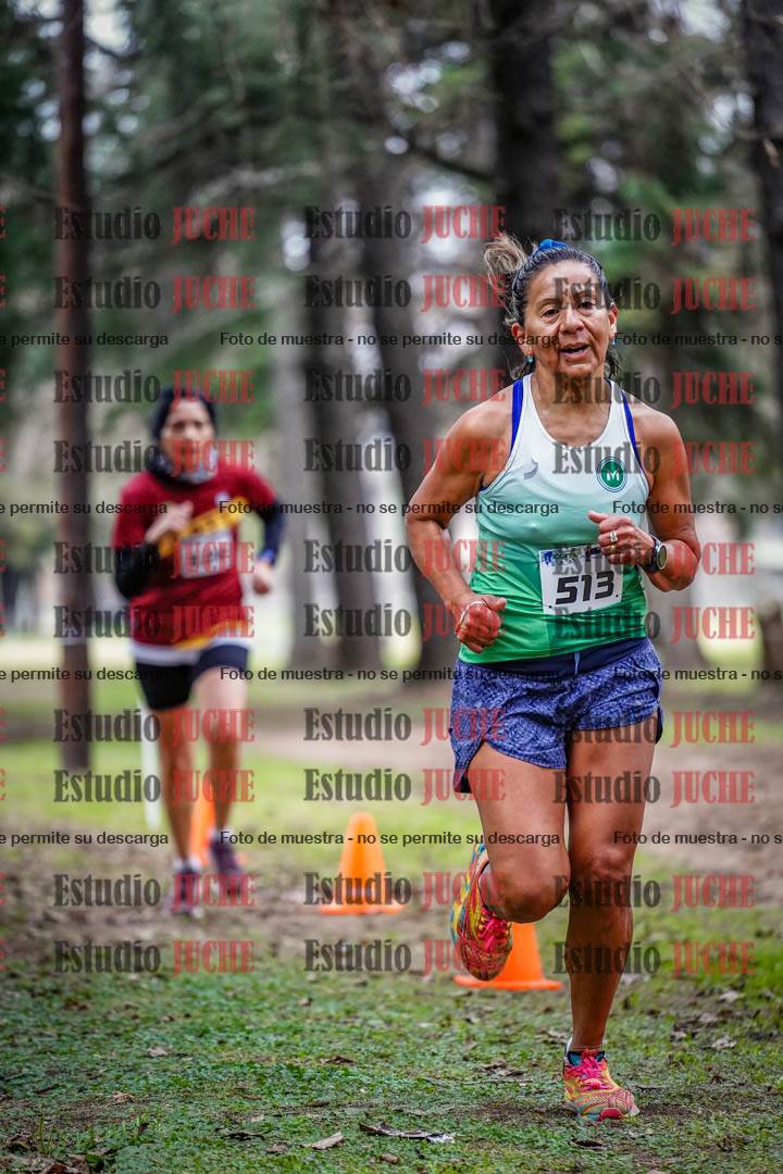 Fotos en el circuito