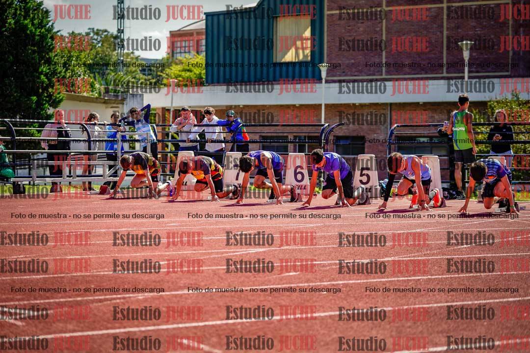 Fotos de los 110 m con vallas de varones