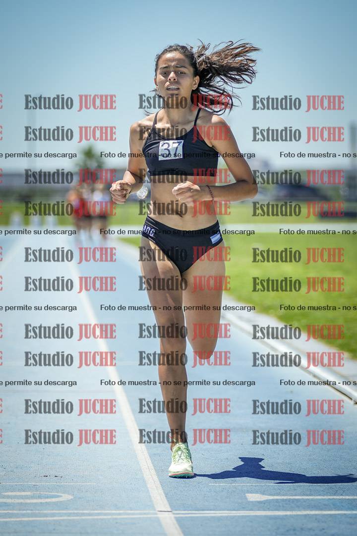 Fotos de los 800 m llanos de mujeres