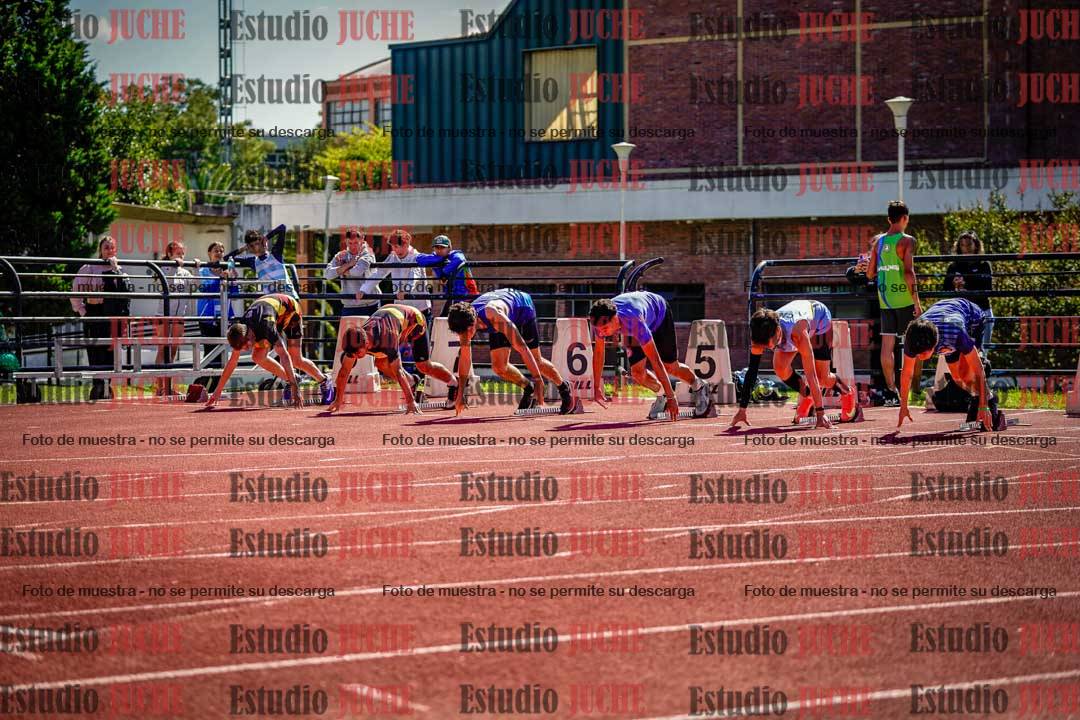 Fotos de los 110 m con vallas de varones