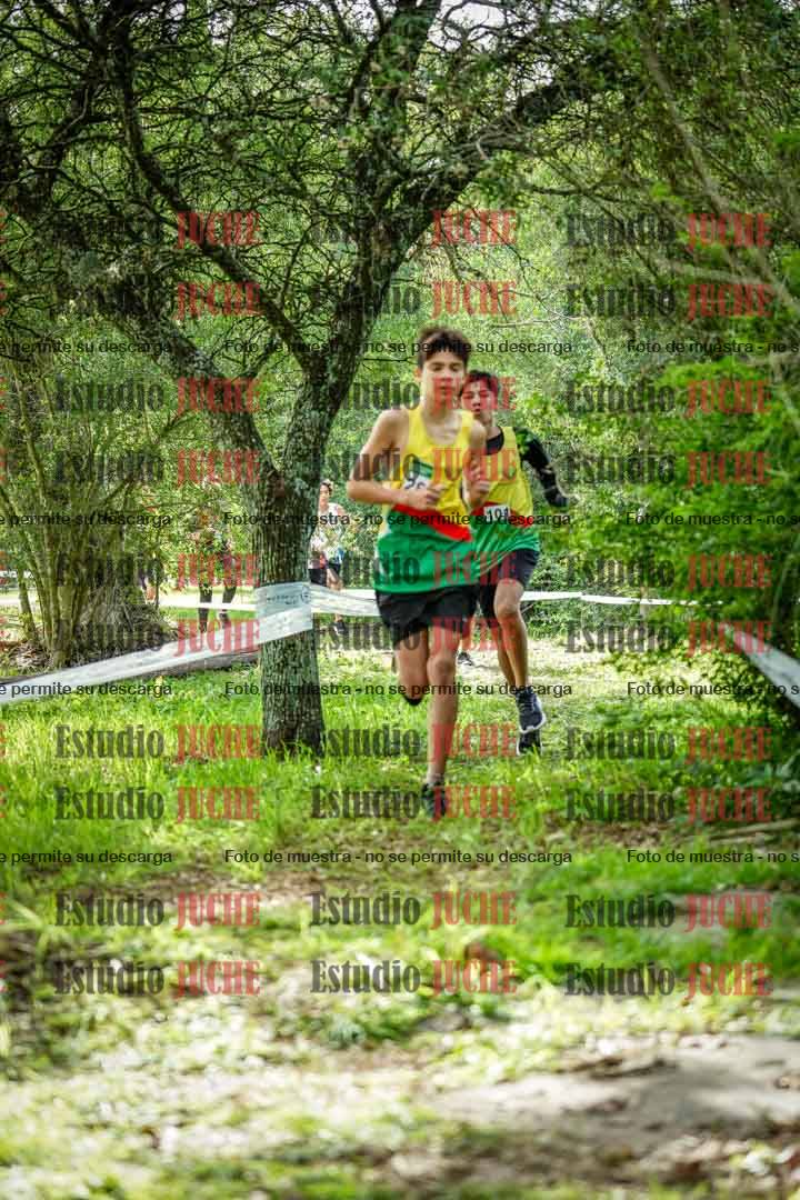 Fotos en el circuito