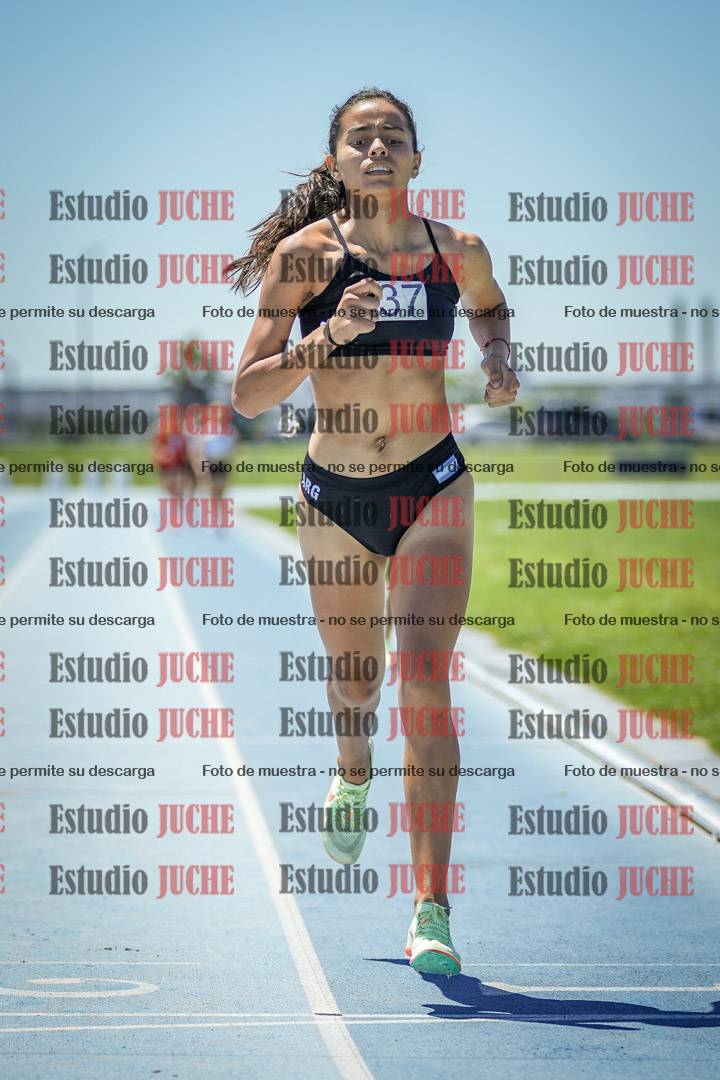 Fotos de los 800 m llanos de mujeres