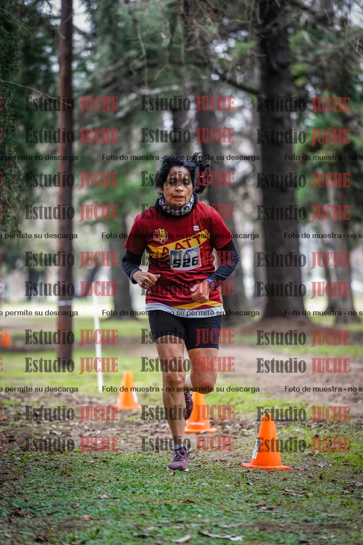 Fotos en el circuito