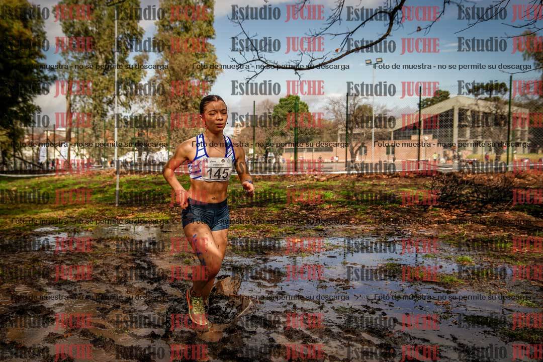 Fotos en el circuito