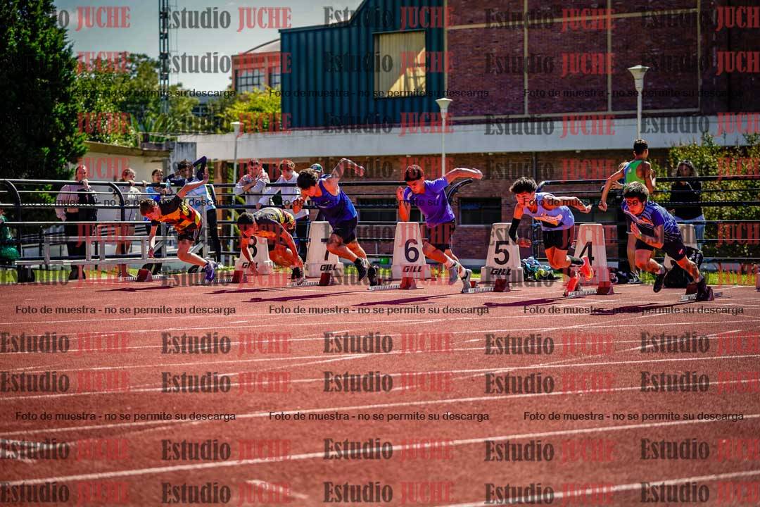 Fotos de los 110 m con vallas de varones