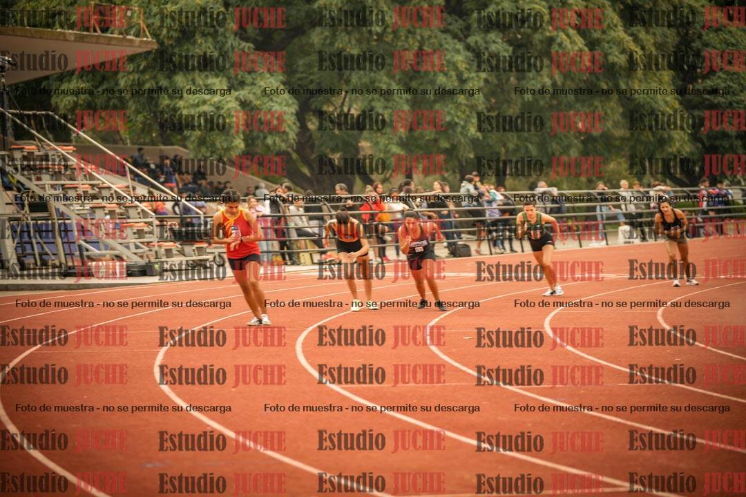 Fotos de los 800 m llanos de mujeres