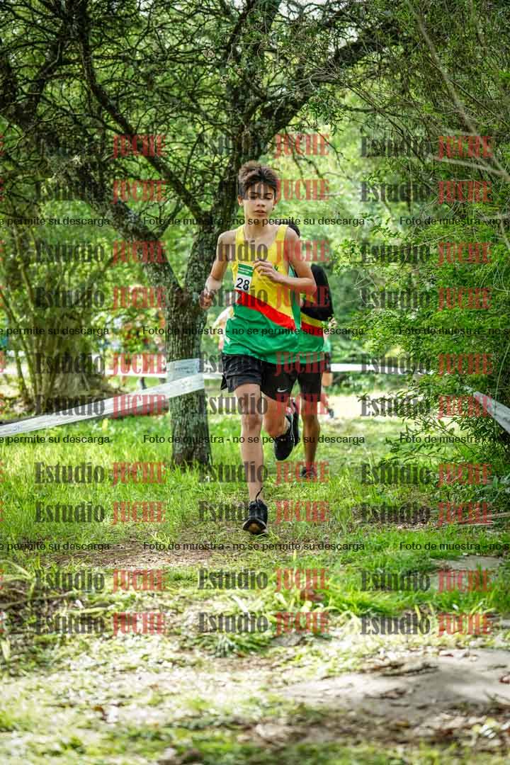 Fotos en el circuito