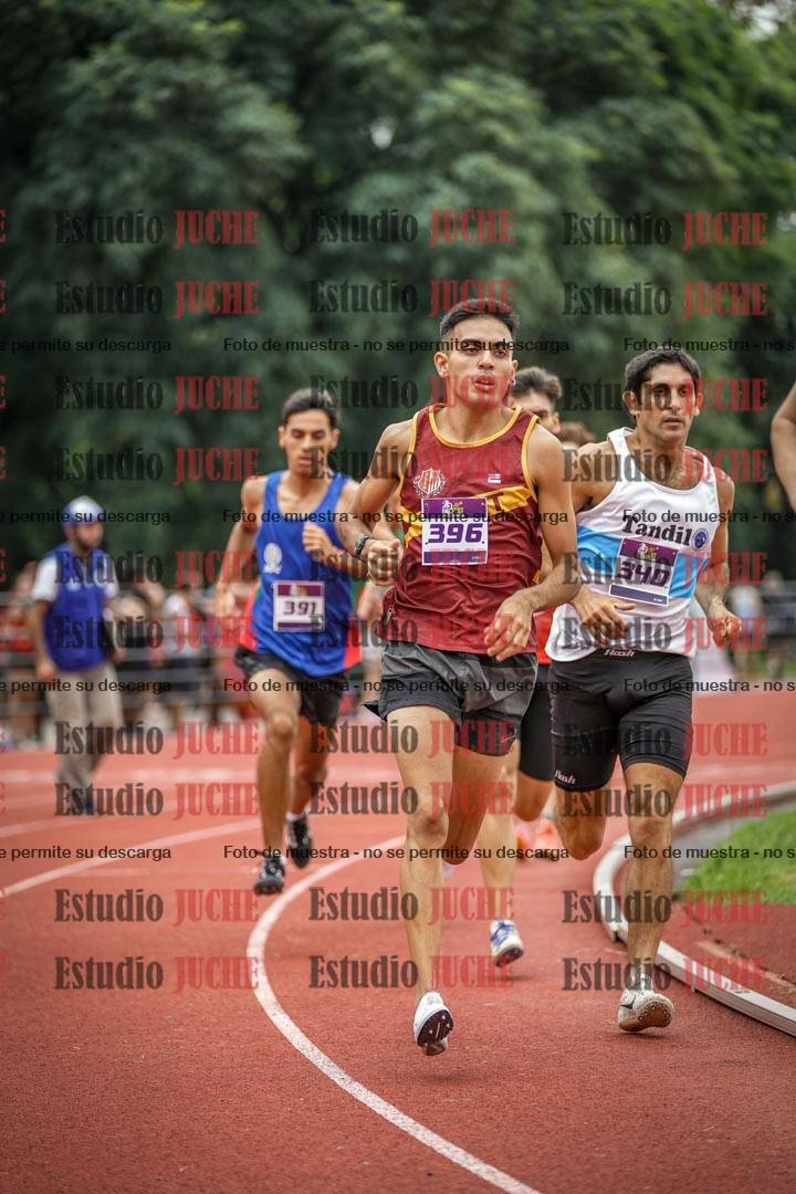 Fotos de los 800 m llanos de varones