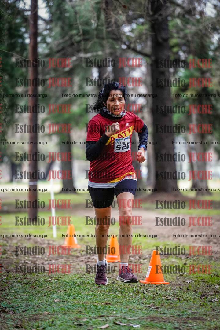 Fotos en el circuito