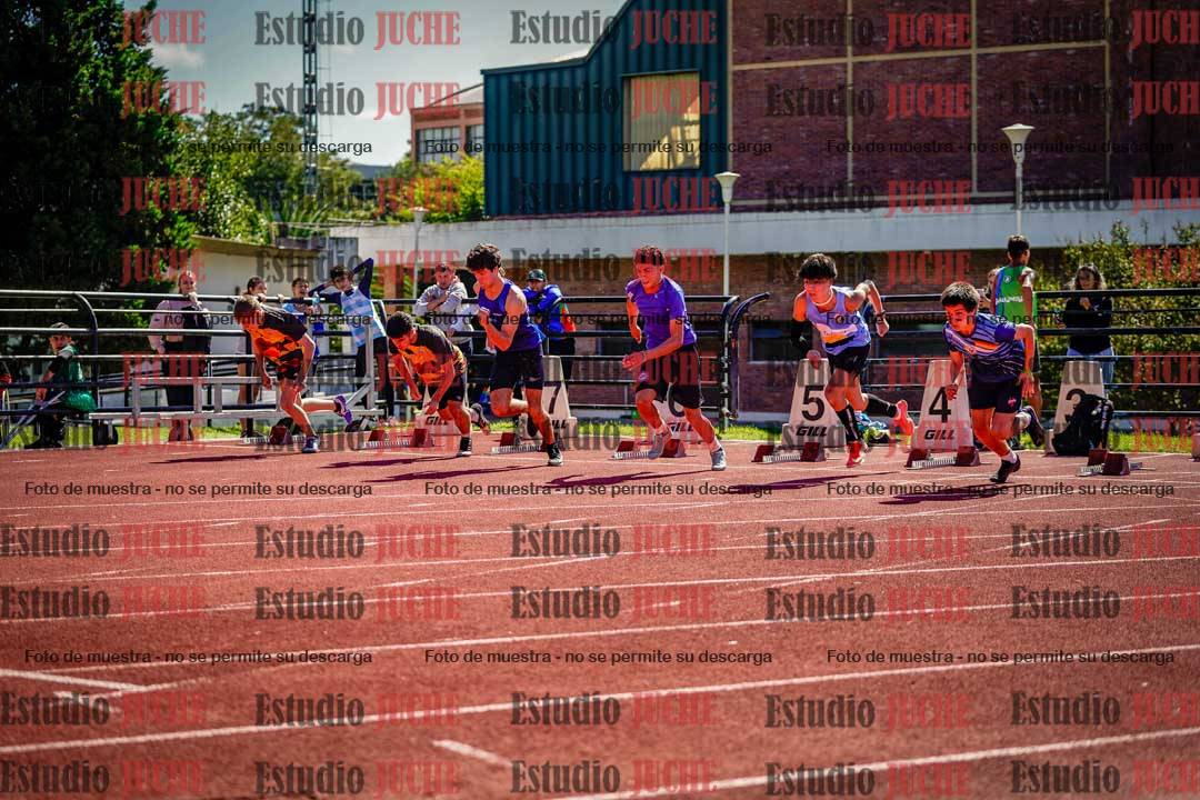 Fotos de los 110 m con vallas de varones