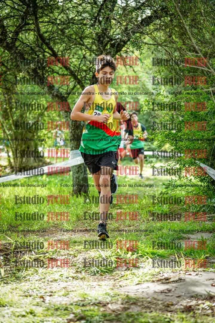 Fotos en el circuito