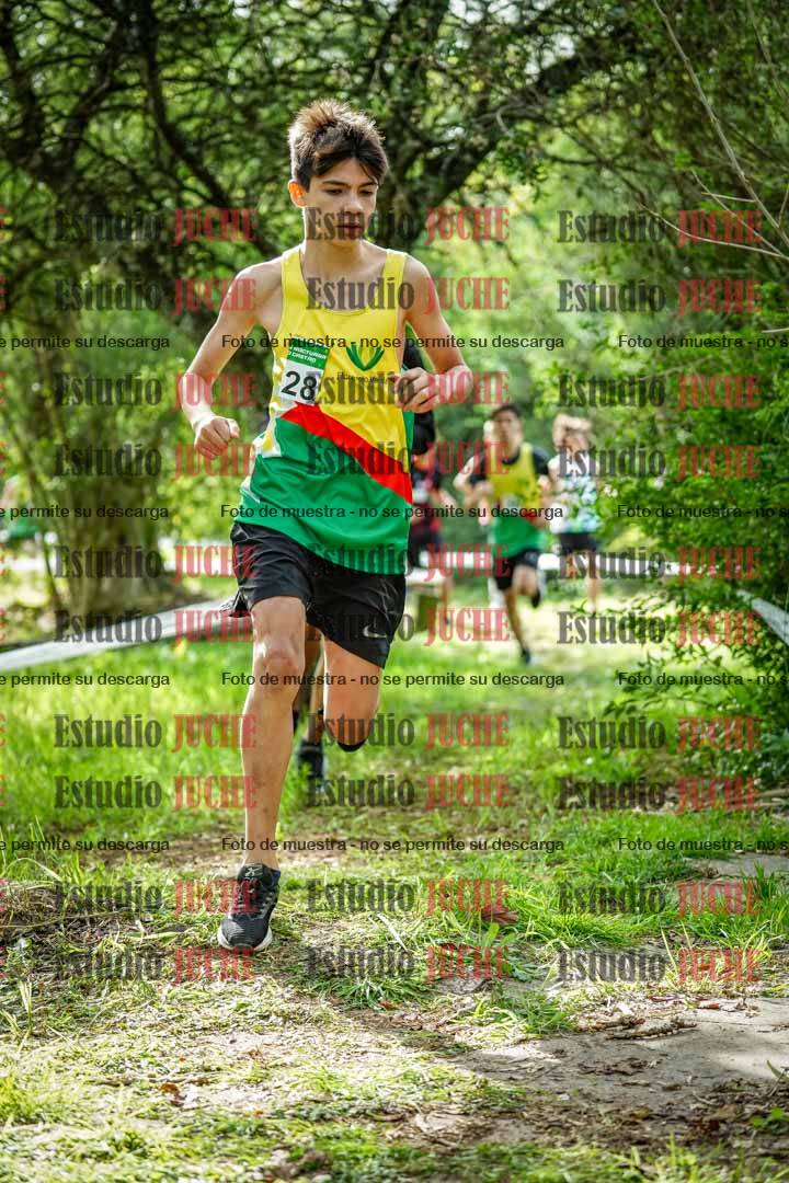 Fotos en el circuito