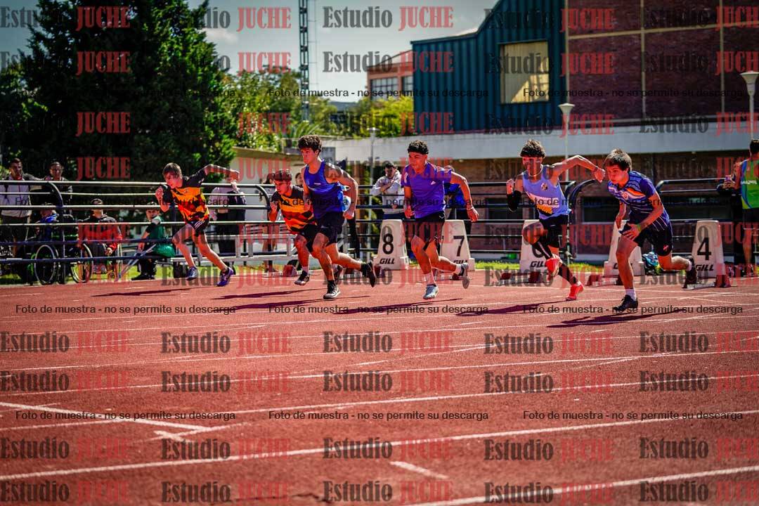 Fotos de los 110 m con vallas de varones