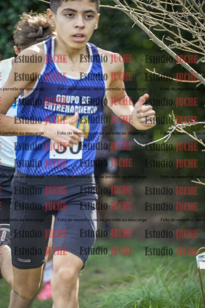 Fotos en el circuito