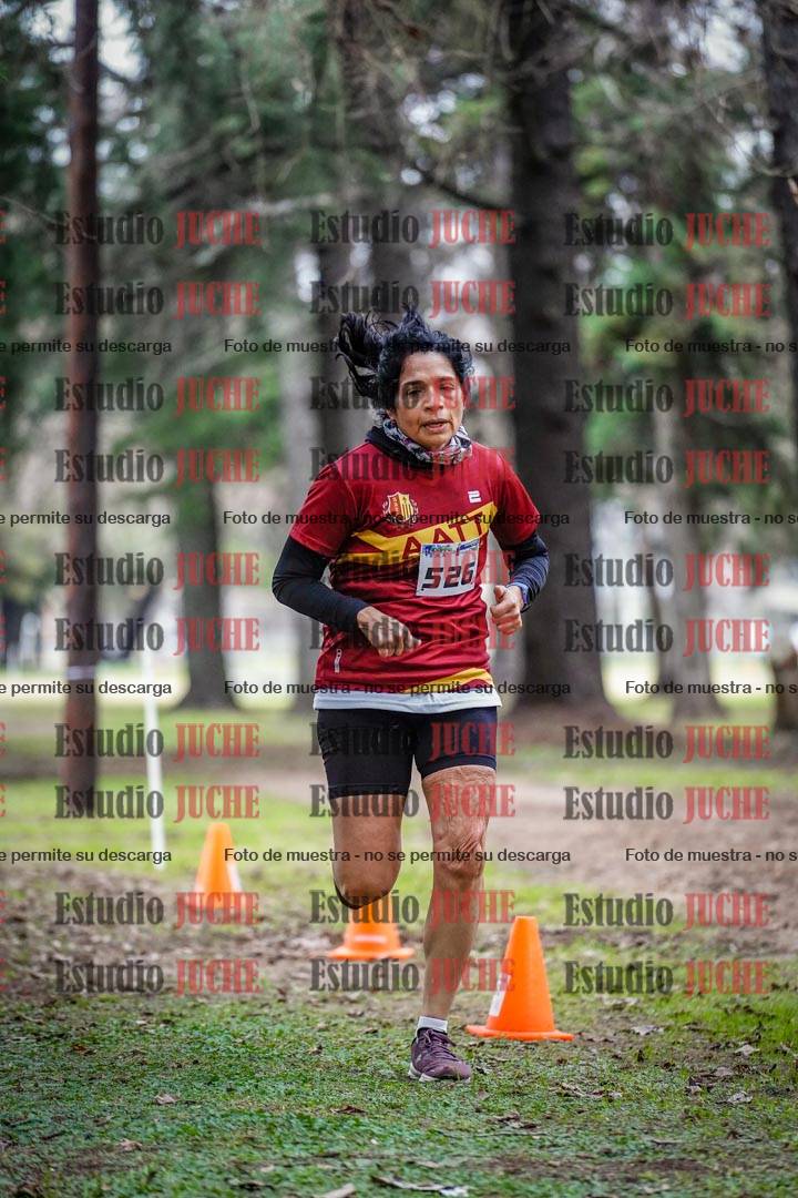 Fotos en el circuito