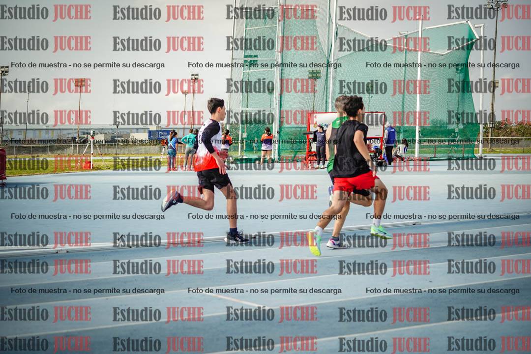 Fotos de los 800 m llanos de varones
