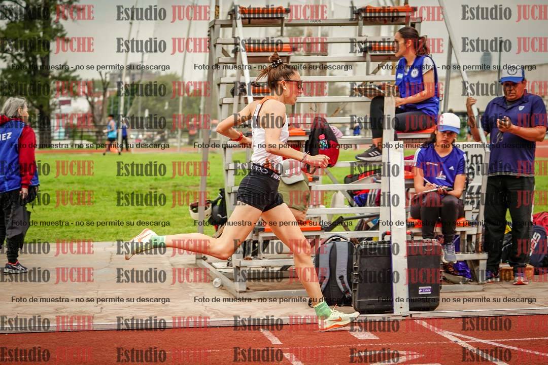 Fotos de los 800 m llanos de mujeres