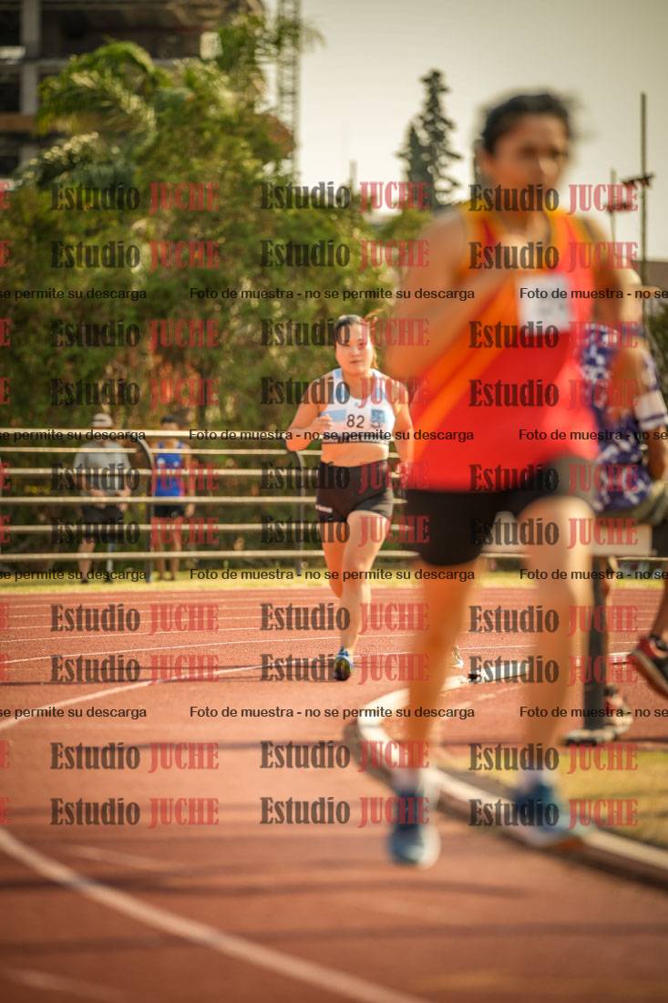 Fotos de los 1500 m llanos de mujeres