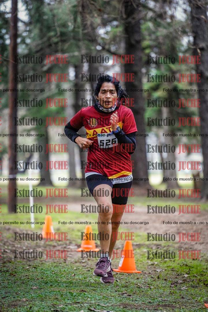 Fotos en el circuito