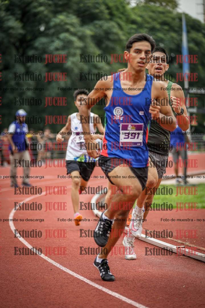 Fotos de los 800 m llanos de varones