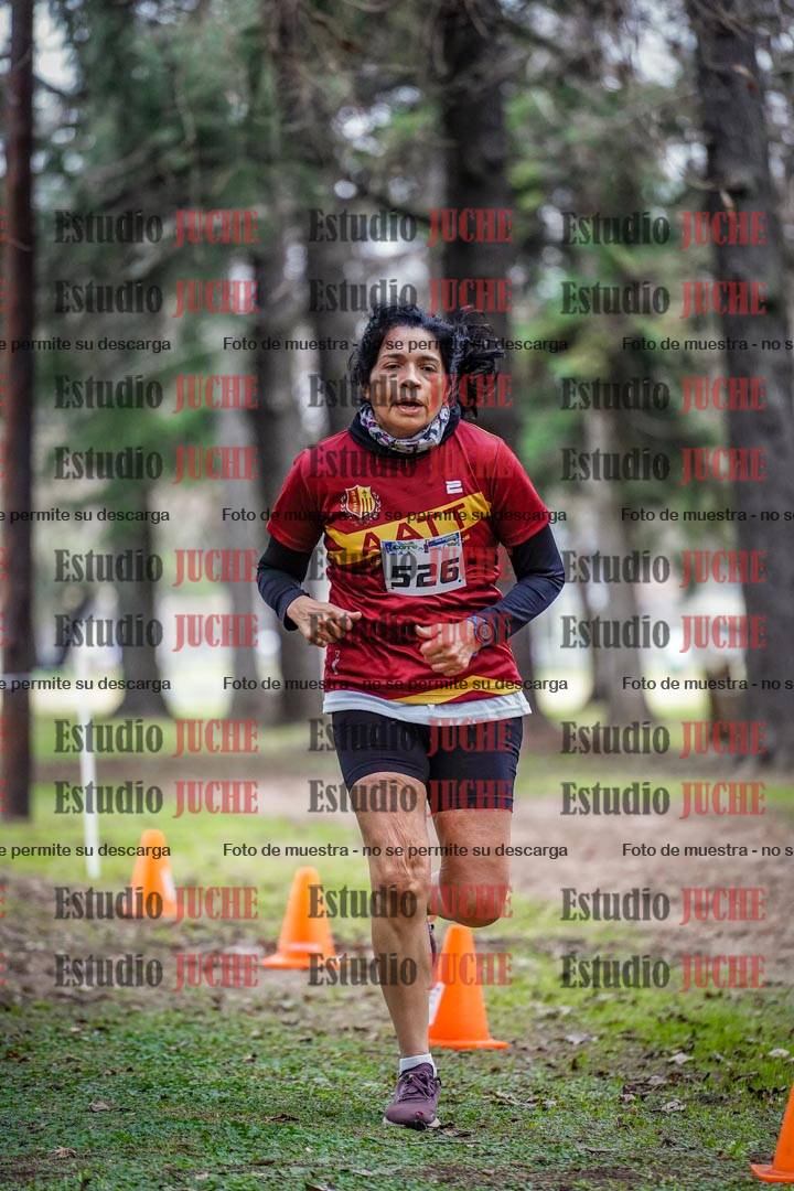 Fotos en el circuito