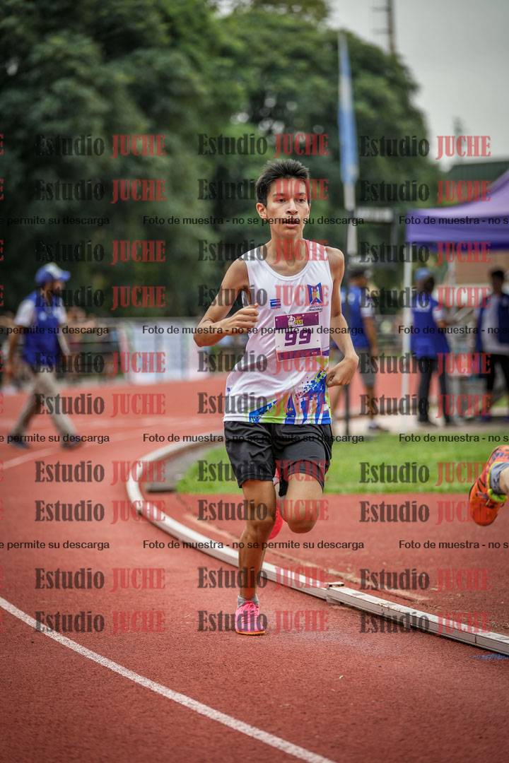 Fotos de los 800 m llanos de varones