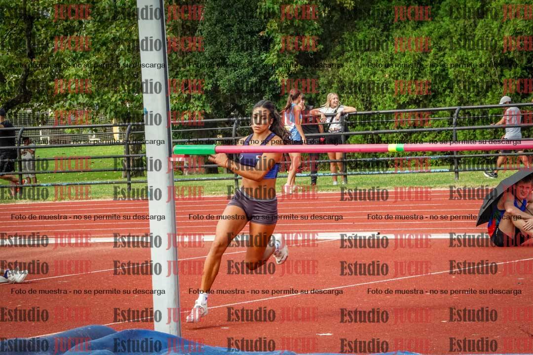 Fotos del salto en alto