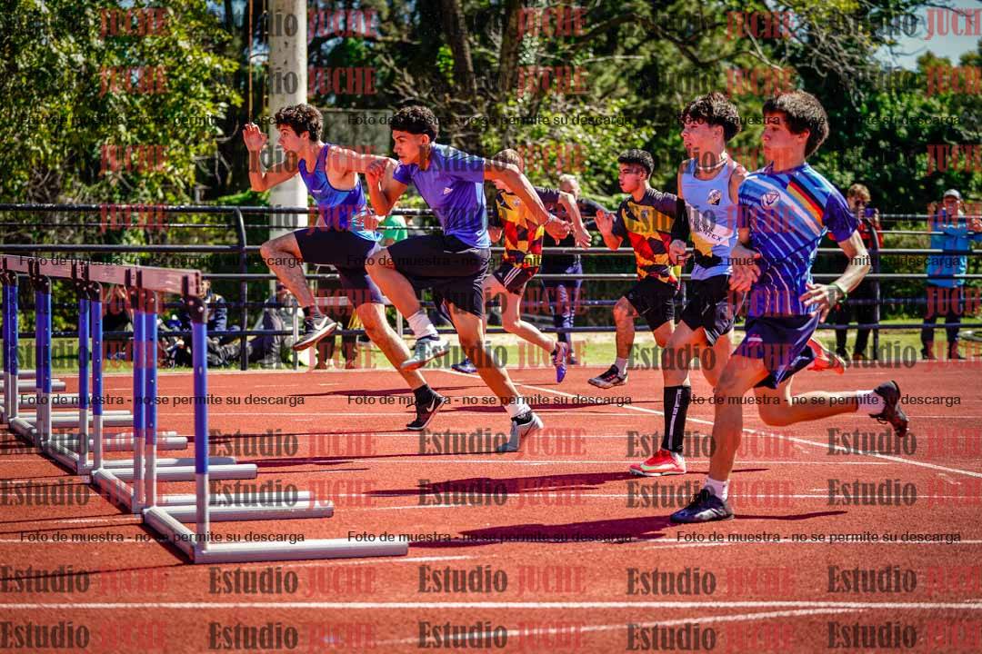 Fotos de los 110 m con vallas de varones