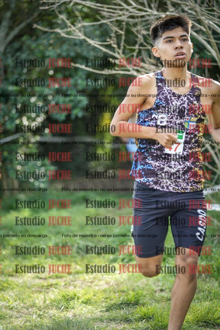 Fotos en el circuito