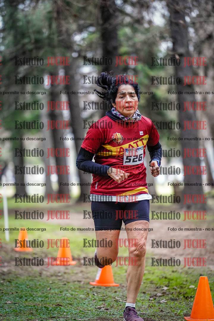 Fotos en el circuito