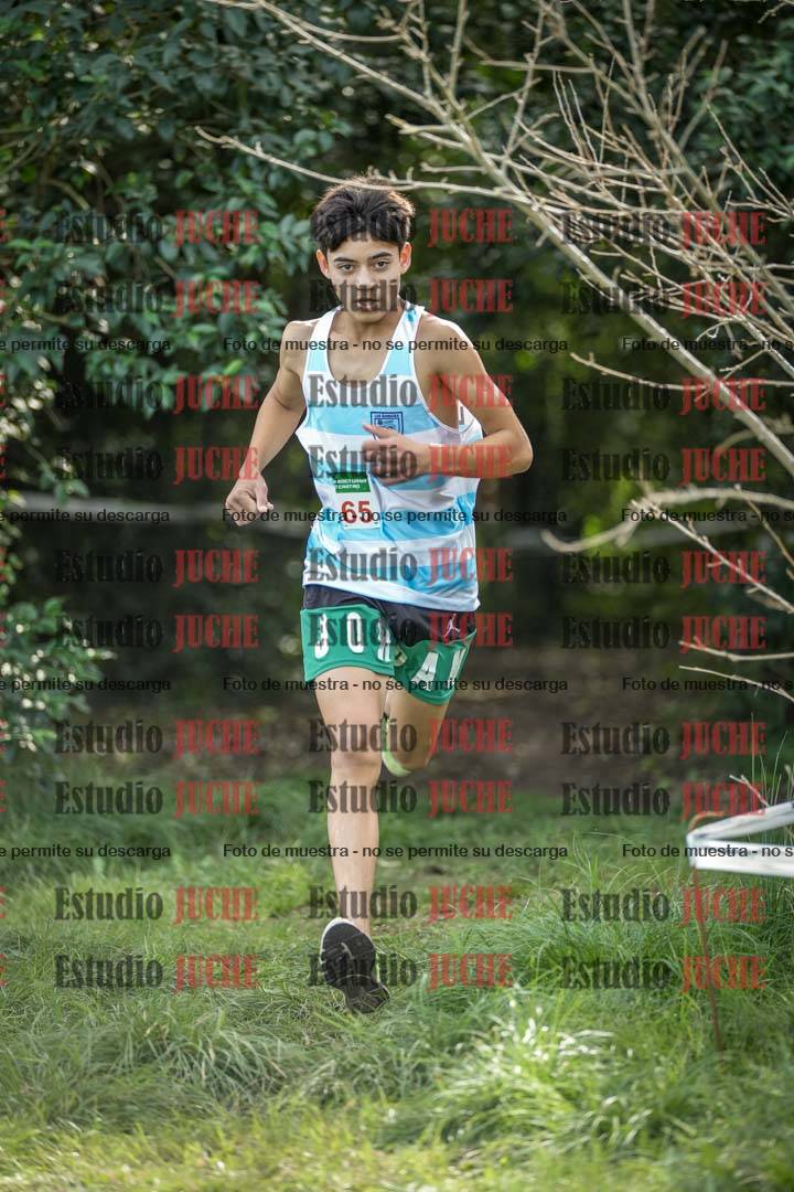 Fotos en el circuito