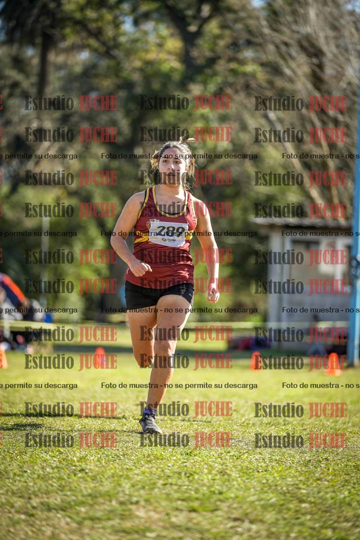 Fotos de la llegada del cross de 3000 m