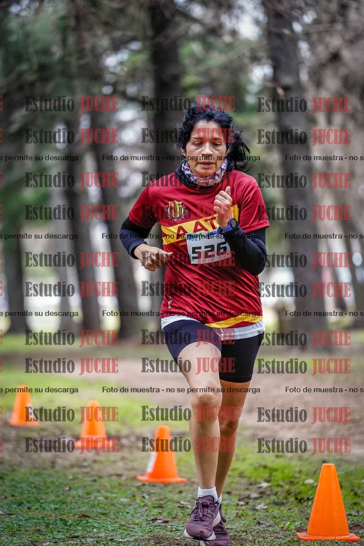 Fotos en el circuito