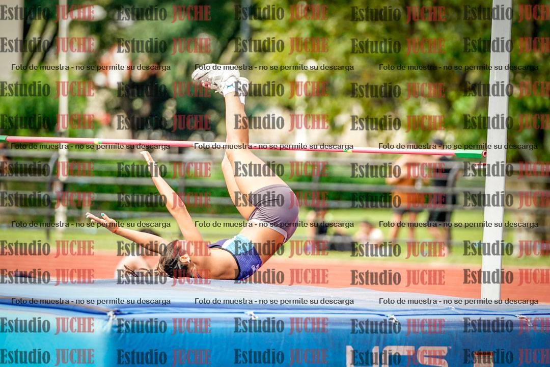 Fotos del salto en alto