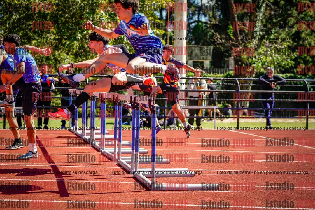 Fotos de los 110 m con vallas de varones