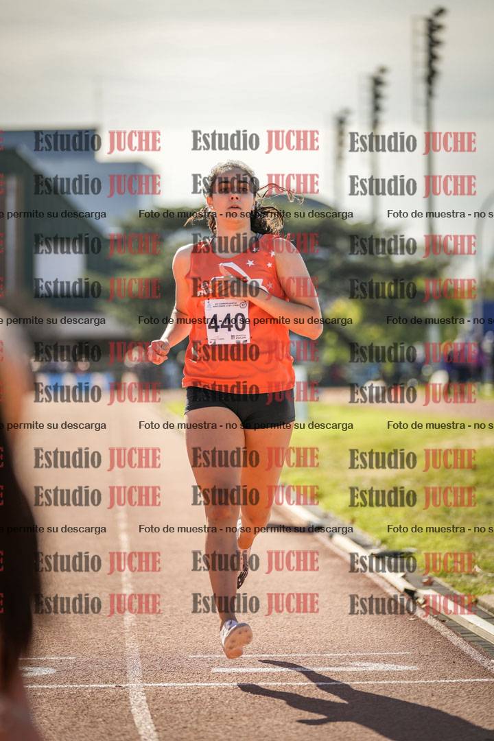Fotos de los 800 m llanos de mujeres