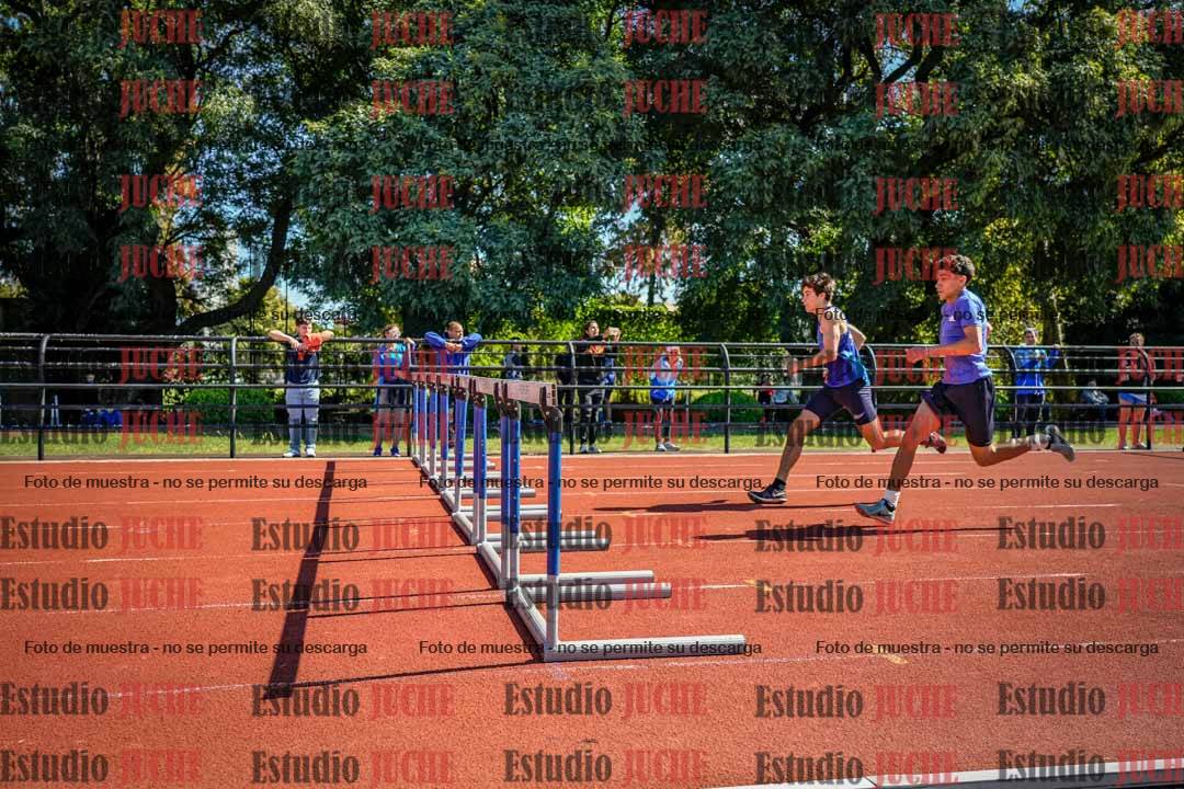 Fotos de los 110 m con vallas de varones