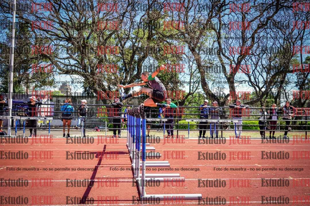 Fotos de los 110 m con vallas de varones