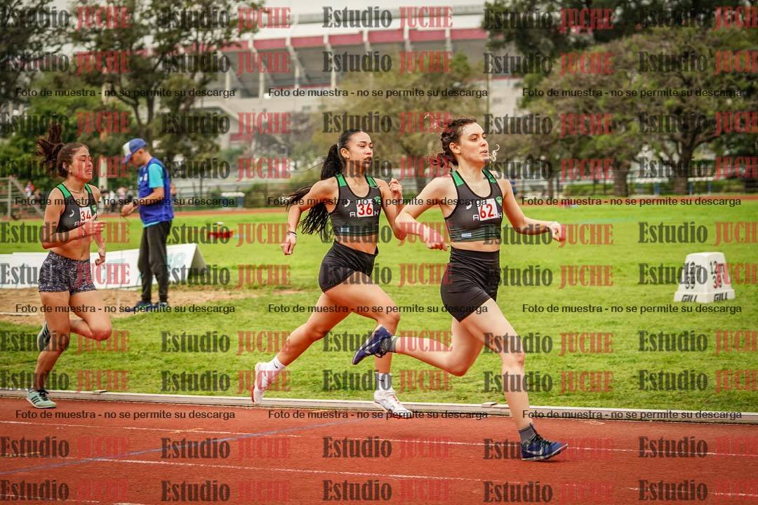 Fotos de los 800 m llanos de mujeres