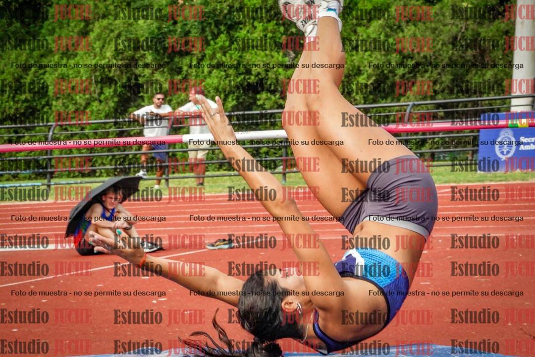 Fotos del salto en alto