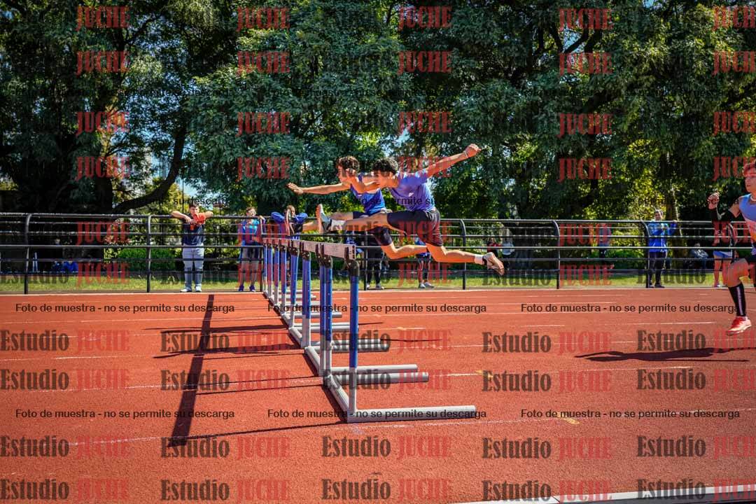 Fotos de los 110 m con vallas de varones