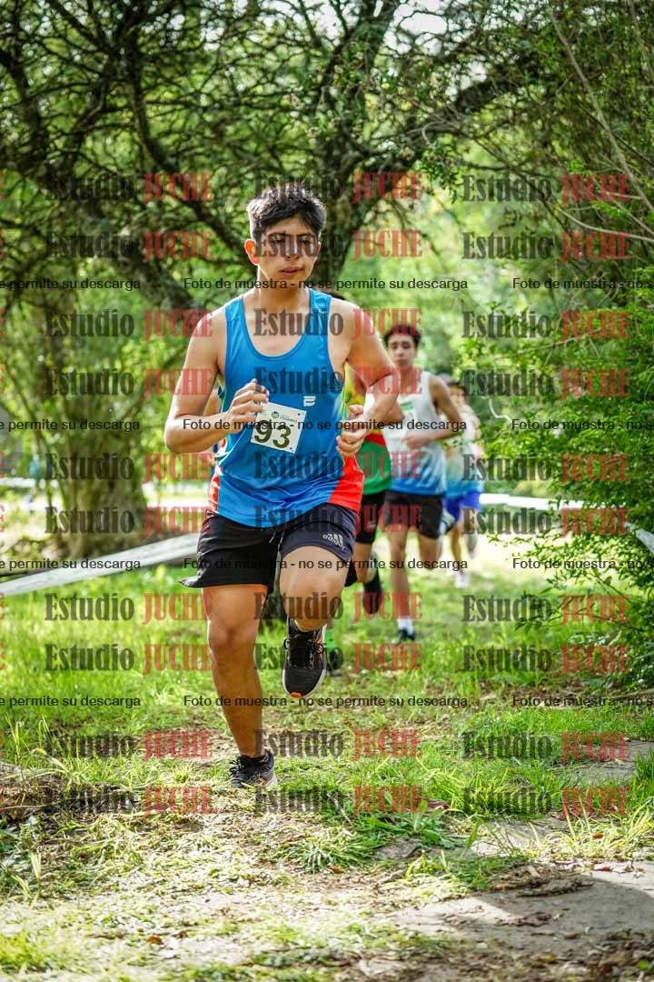 Fotos en el circuito