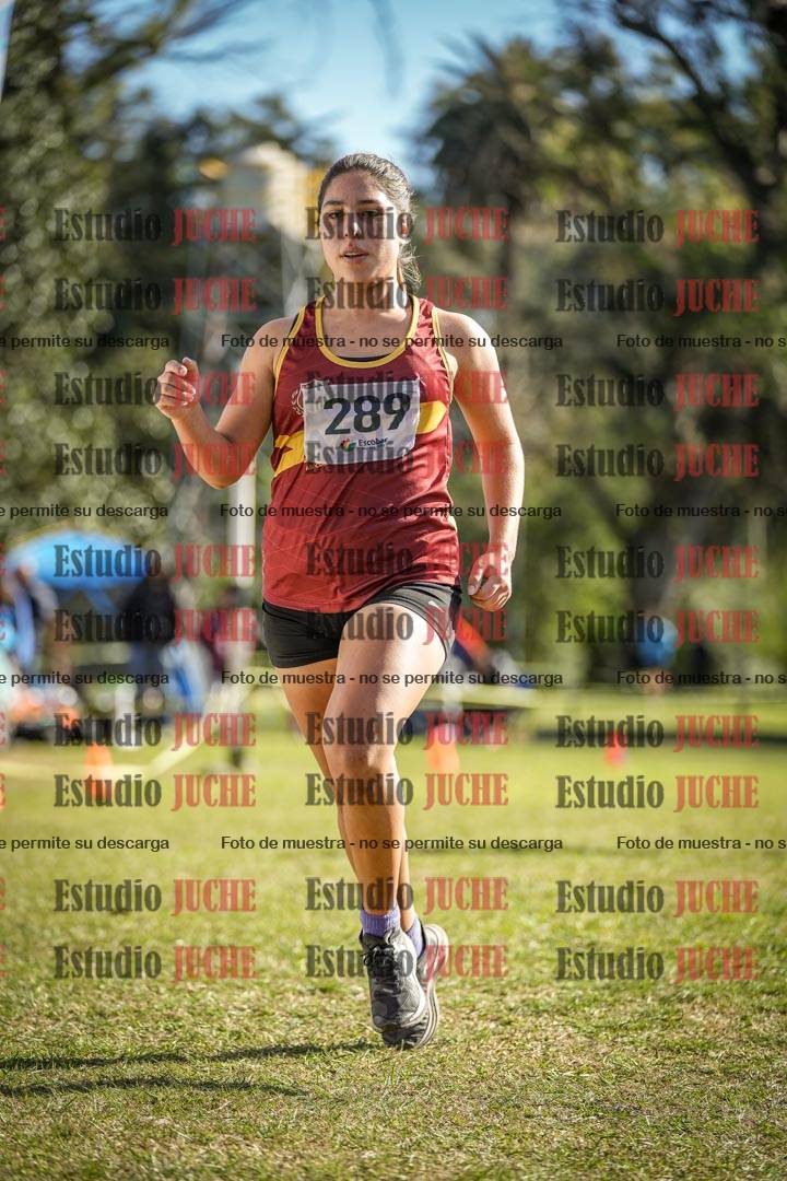 Fotos de la llegada del cross de 3000 m