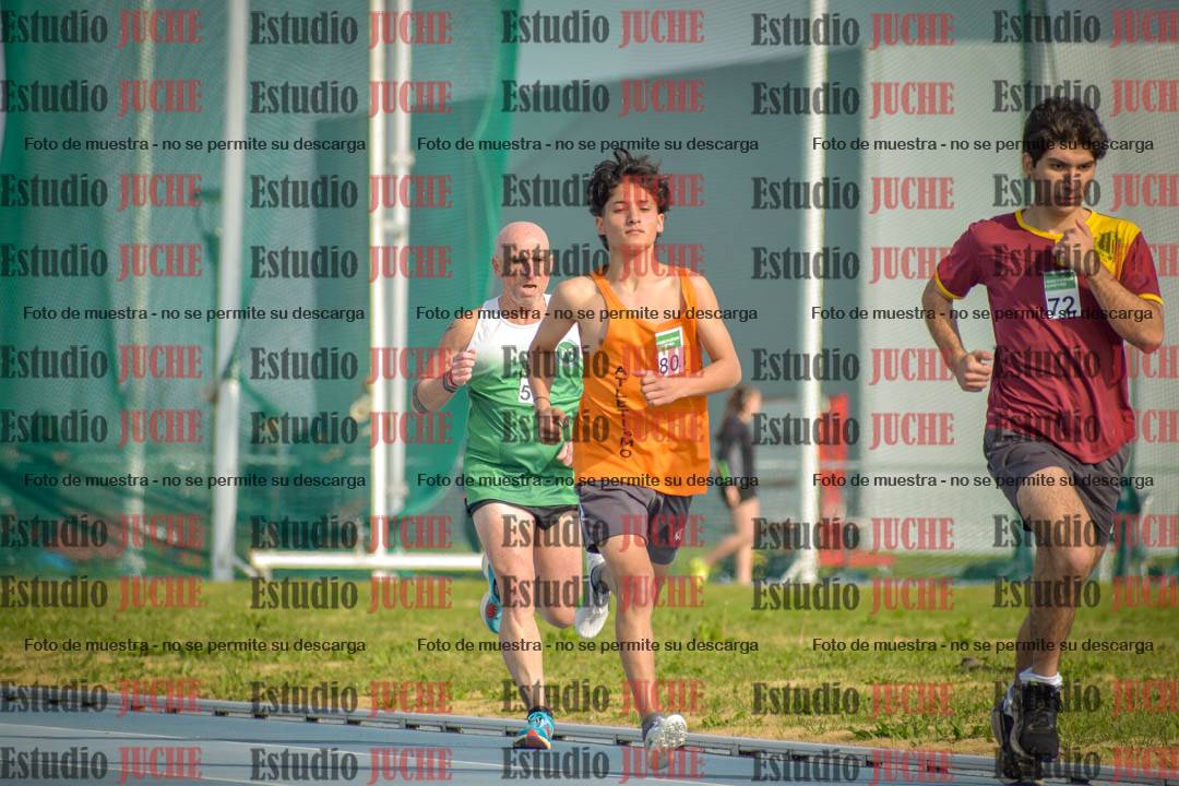 Fotos de los 800 m llanos de varones