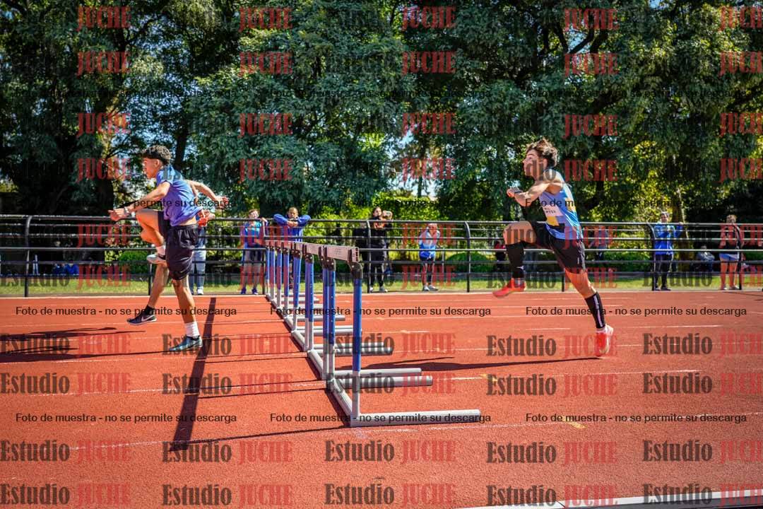 Fotos de los 110 m con vallas de varones