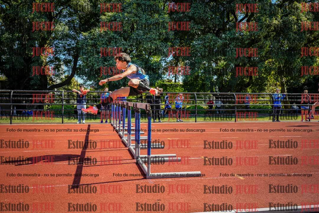 Fotos de los 110 m con vallas de varones