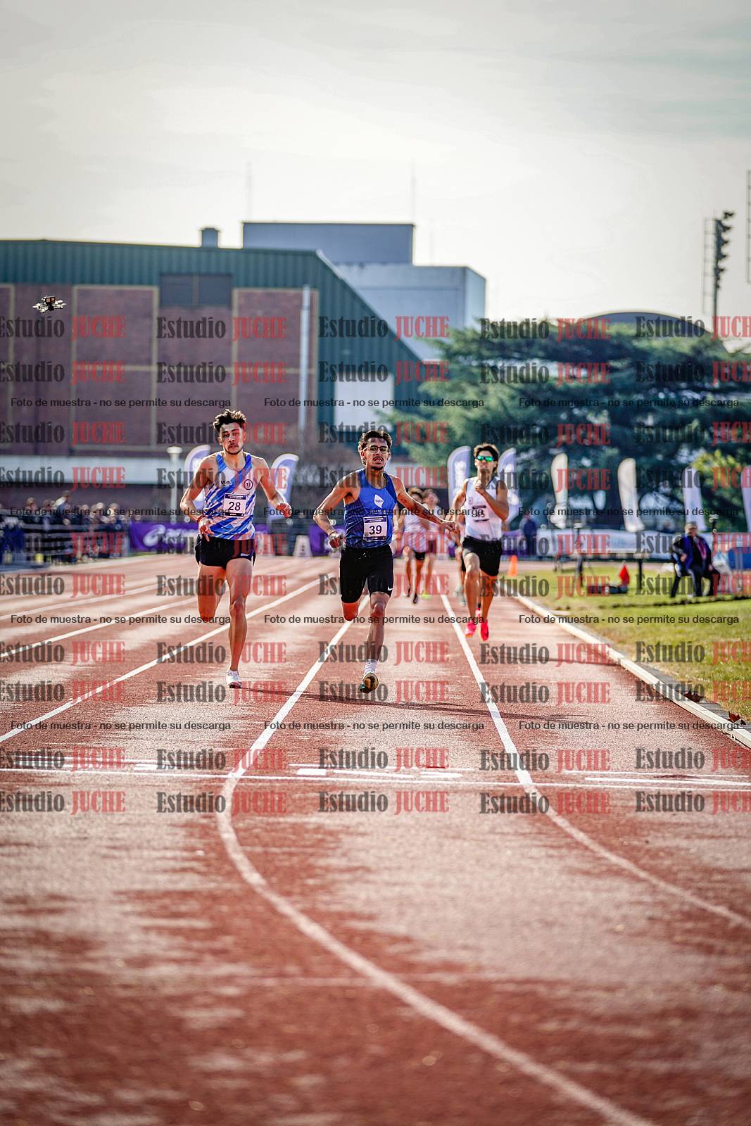 Fotos de los 800 m de varones