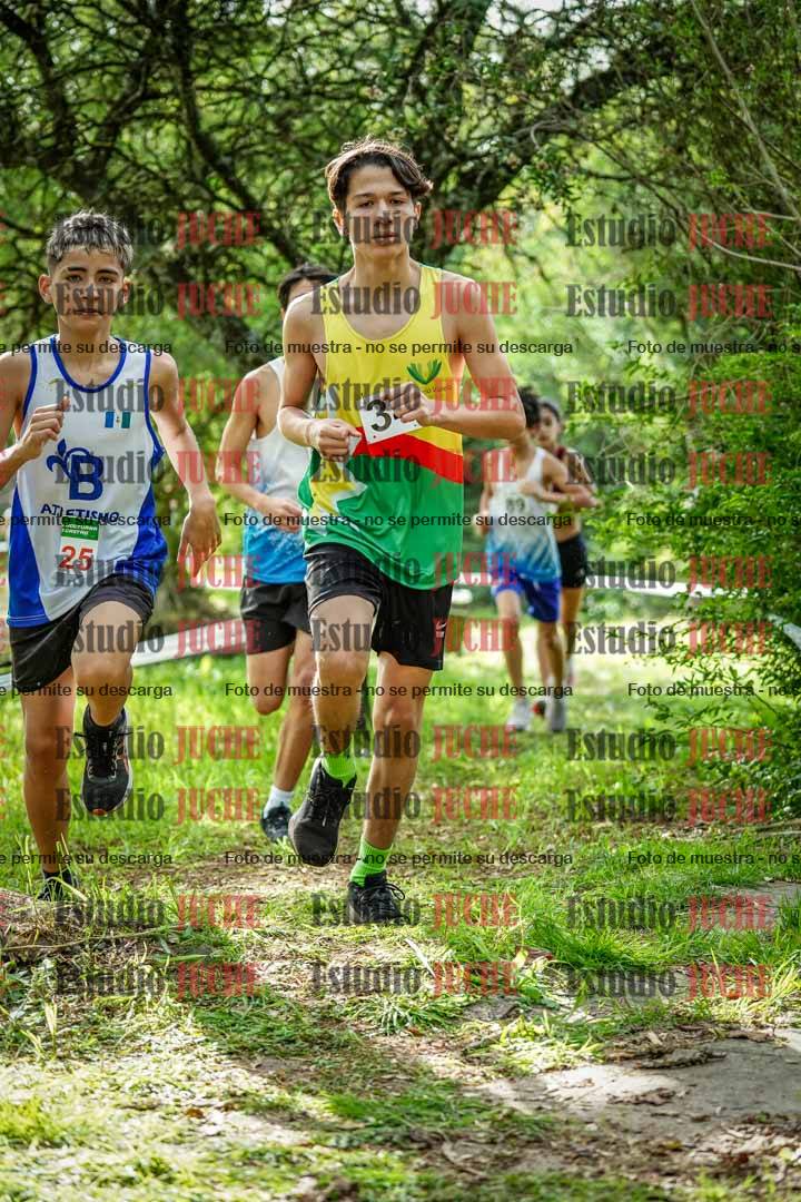 Fotos en el circuito