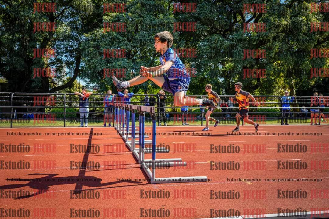Fotos de los 110 m con vallas de varones